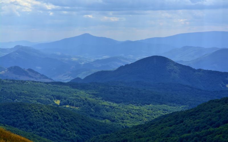 tarnica panorama ze szczytu